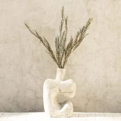 Yunnan Dianfeng Flower Technology Co. Ltd Olive Sword Leaf Fern