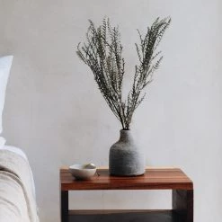 Yunnan Dianfeng Flower Technology Co. Ltd Olive Sword Leaf Fern