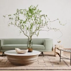 Fourhands Oval Petrified Wood Bowl