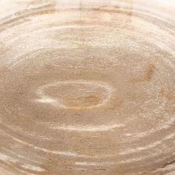 Fourhands Oval Petrified Wood Bowl
