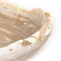 Fourhands Oval Petrified Wood Bowl