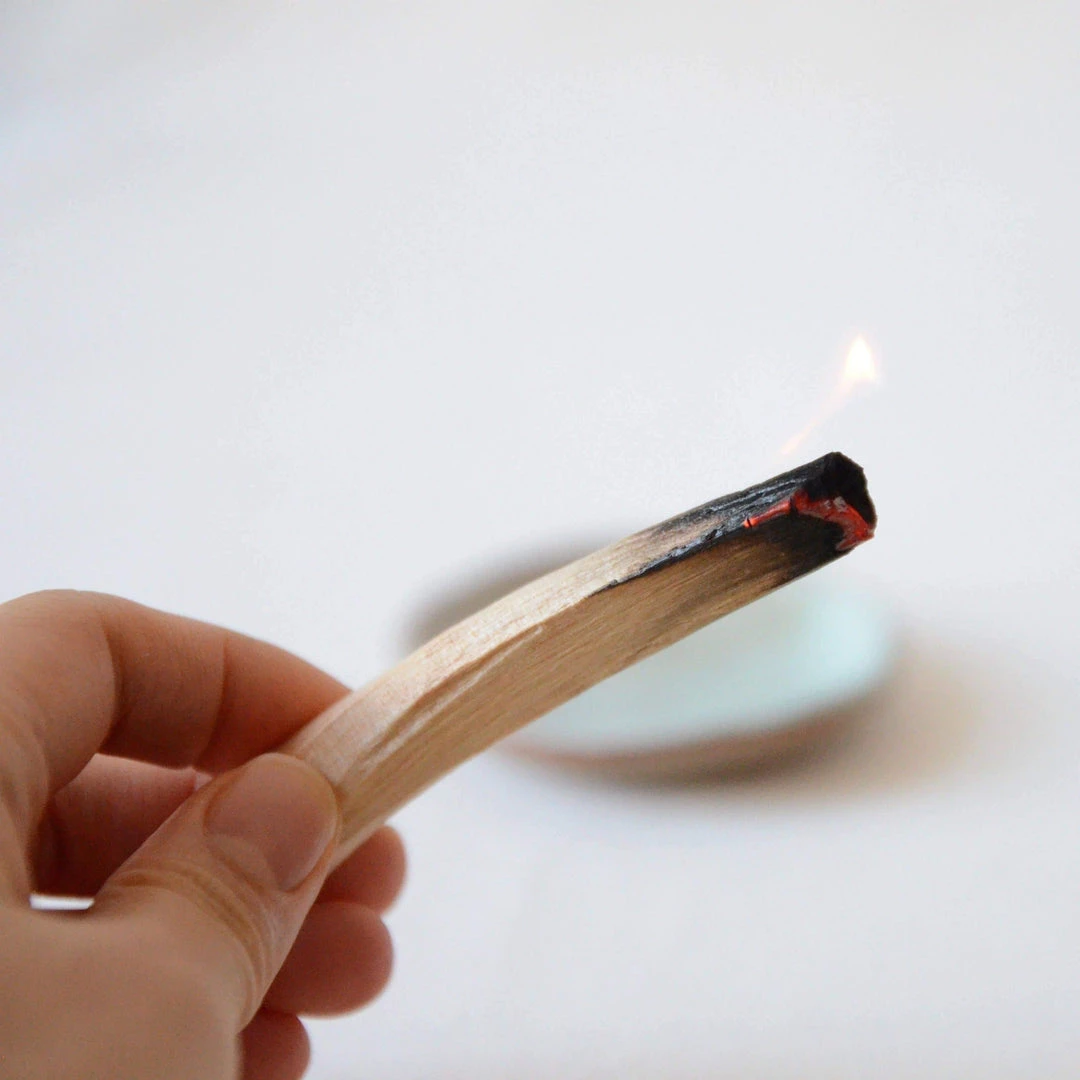 FAIRE Best Sellers Palo Santo Sticks From Ecuador