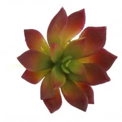 HomArt Paprika Faux Succulents