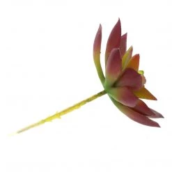 HomArt Paprika Faux Succulents