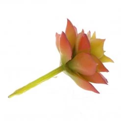HomArt Paprika Faux Succulents