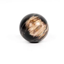 Fourhands Best Sellers Petrified Wood Balls