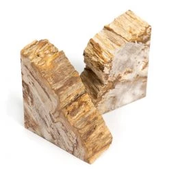 Fourhands Best Sellers Petrified Wood Book Ends