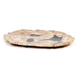 Fourhands Petrified Wood Dish