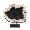 Fourhands Best Sellers Petrified Wood Sculpture