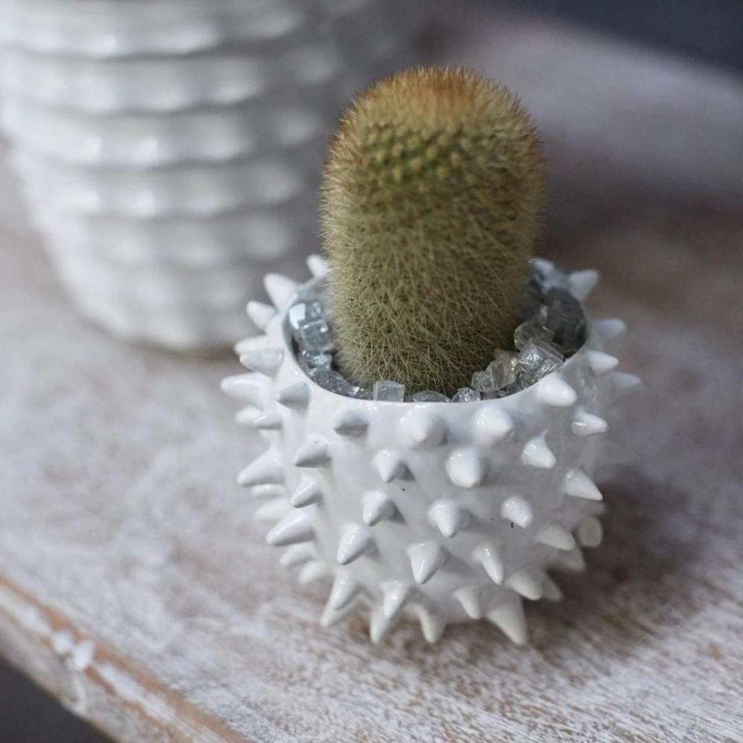 Accent Decor Best Of Home Decor Puff Pot