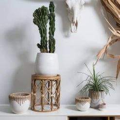 Accent Decor Rattan Dream Pot