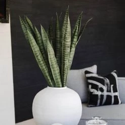 GOLD LEAF ART GROUP Best Sellers Snake Plant Bundle