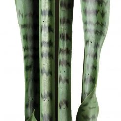 GOLD LEAF ART GROUP Best Sellers Snake Plant Bundle