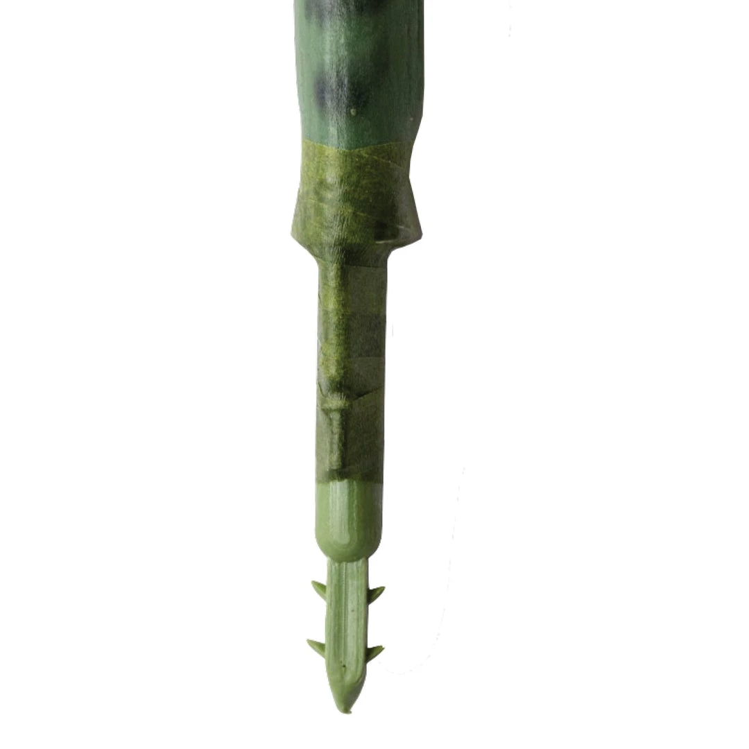 GOLD LEAF ART GROUP Best Sellers Snake Plant Bundle