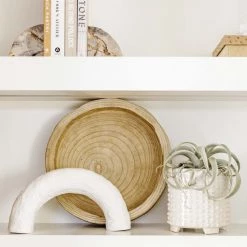 HomArt Spindling Faux Succulent Best Of Home Decor