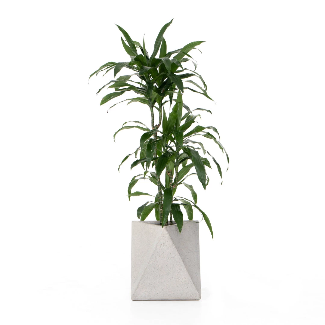 Fourhands New Outdoor Talia Outdoor Planter