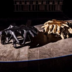 Noir Teak Root Coffee Table