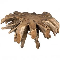 Noir Teak Root Coffee Table