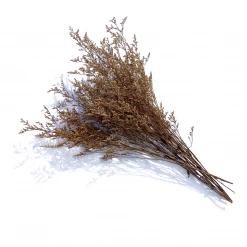 Yunnan Dianfeng Flower Technology Co. Ltd Valentines Grass Featured Collections