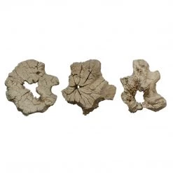 LILY'S LIVING Weathered Wood Art Deco Best Sellers