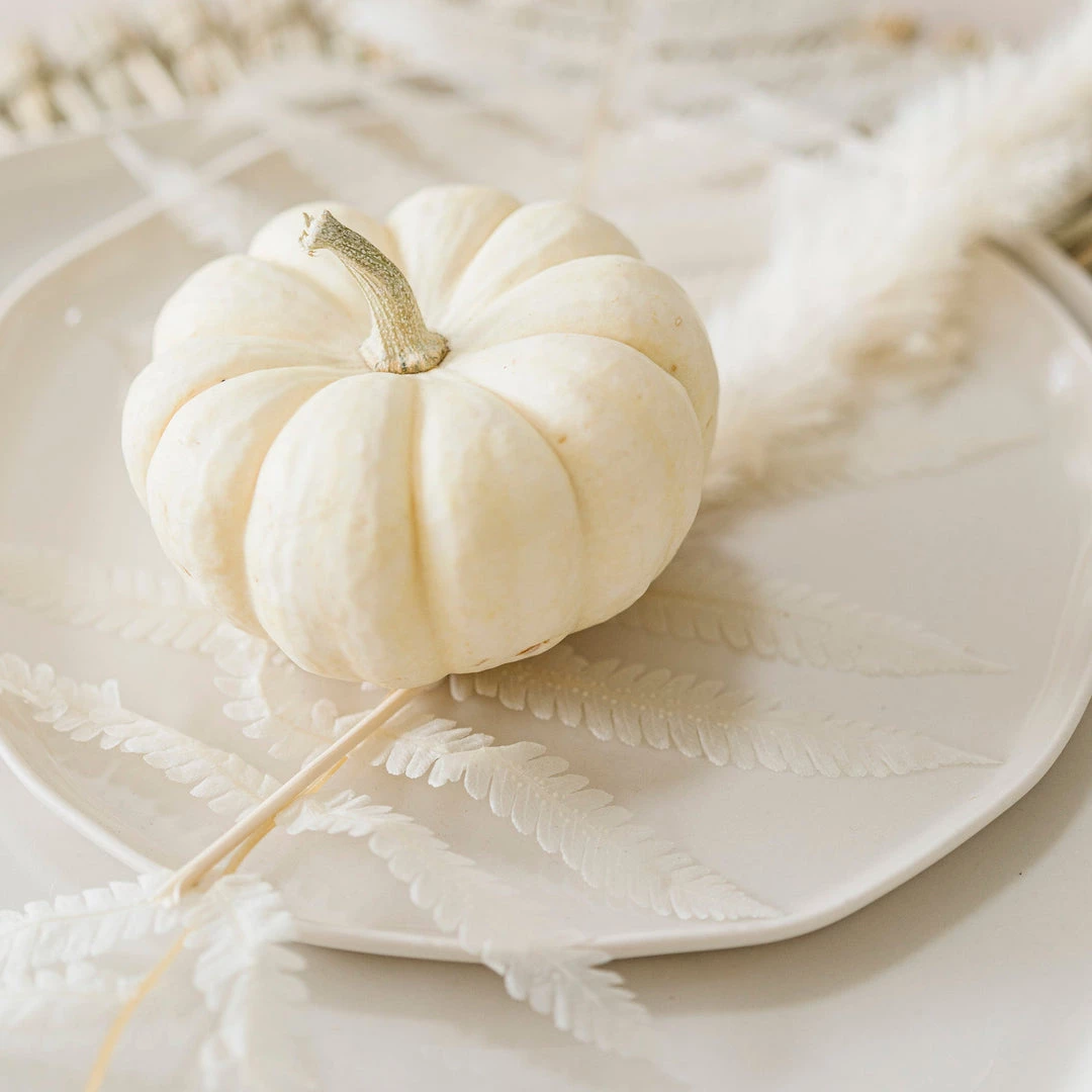 CREATIVE CO OP White Fern Leaves