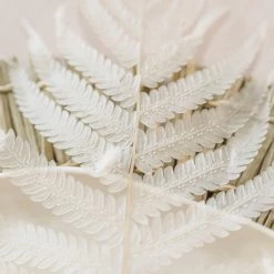 CREATIVE CO OP White Fern Leaves
