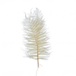 CREATIVE CO OP White Fern Leaves