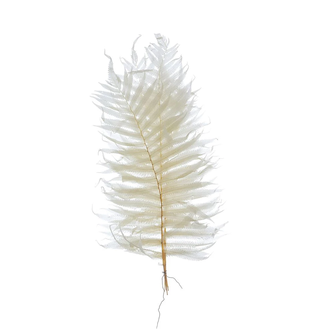 CREATIVE CO OP White Fern Leaves