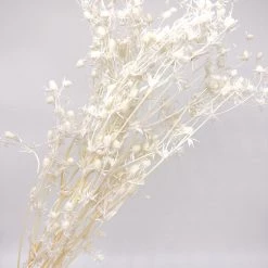 Yunnan Dianfeng Flower Technology Co. Ltd Natural Thistle Teasel Flower New Home Decor