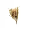 Yunnan Dianfeng Flower Technology Co. Ltd New Home Decor Natural Dried Banksia