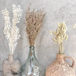 Yunnan Dianfeng Flower Technology Co. Ltd Natural Gem Grass Best Of Home Decor