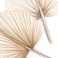 Yunnan Dianfeng Flower Technology Co. Ltd Natural Bleached Palm Spear New Home Decor