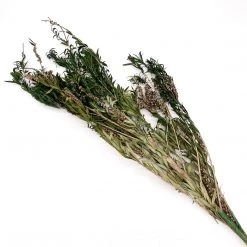 Yunnan Dianfeng Flower Technology Co. Ltd New Home Decor Preserved Buddha Beads