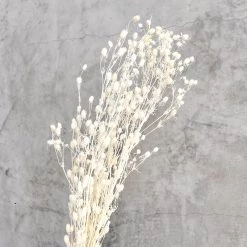 Yunnan Dianfeng Flower Technology Co. Ltd Natural Thistle Teasel Flower New Home Decor