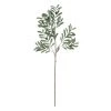 Creative Co Op Faux Olive Branch