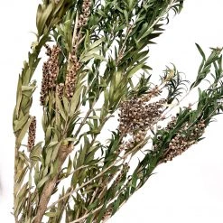 Yunnan Dianfeng Flower Technology Co. Ltd New Home Decor Preserved Buddha Beads