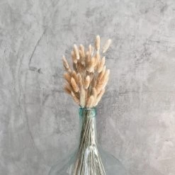Yunnan Dianfeng Flower Technology Co. Ltd Natural Bunny Tail New Home Decor