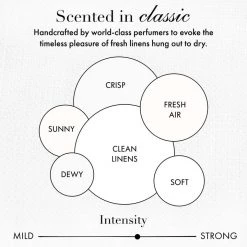 The Laundress In Stock Wash & Stain Bar