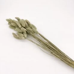 Yunnan Dianfeng Flower Technology Co. Ltd Natural Gem Grass Best Of Home Decor