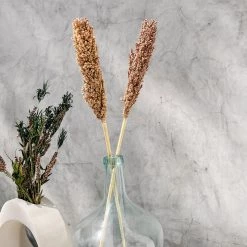 Yunnan Dianfeng Flower Technology Co. Ltd New Home Decor Dried Sorghum Flower, Bundle Of 3