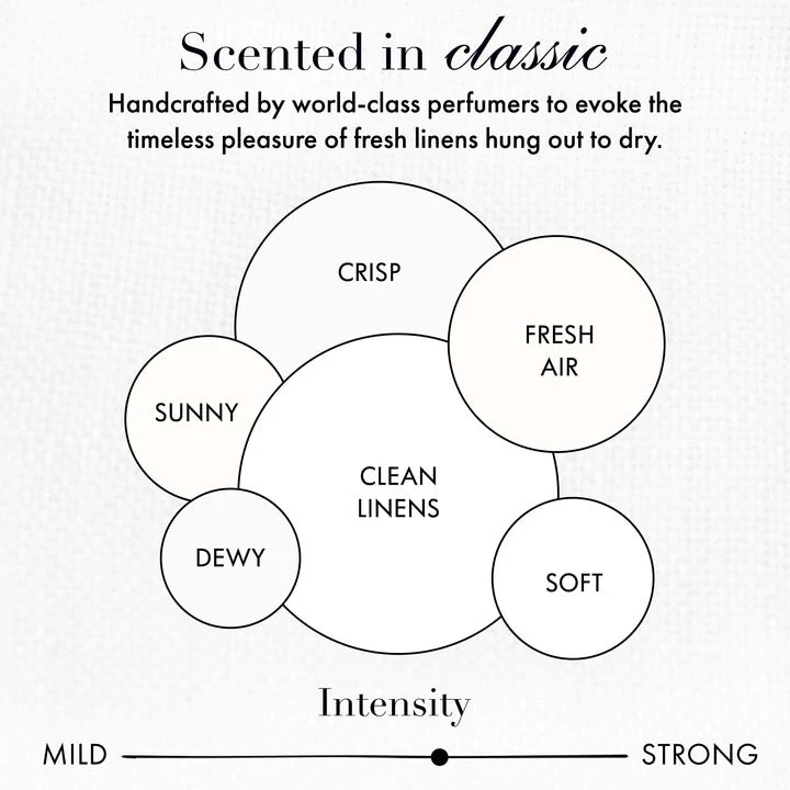 The Laundress Signature Detergent