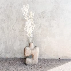 Yunnan Dianfeng Flower Technology Co. Ltd Dried White Ruscus Bundle